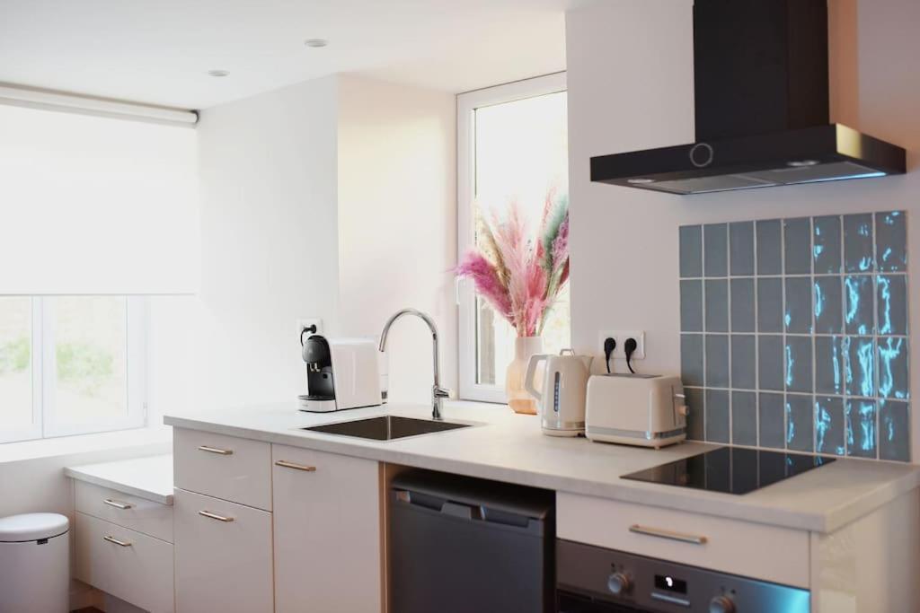 Appartement Aquaroom Rdc - 50m - Rue Gratuite *